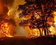 Російську Бурятію затягнуло чорним попелом від пожеж