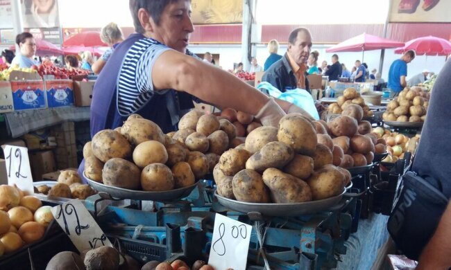 40 гривень за кілограм: ціни на картоплю в Україні можуть стати захмарними, прогноз експертів