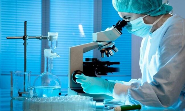 Назван главный убийца человечества