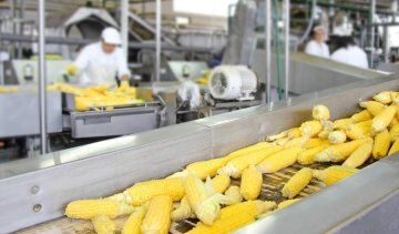 Китайцы переели украинской кукурузы
