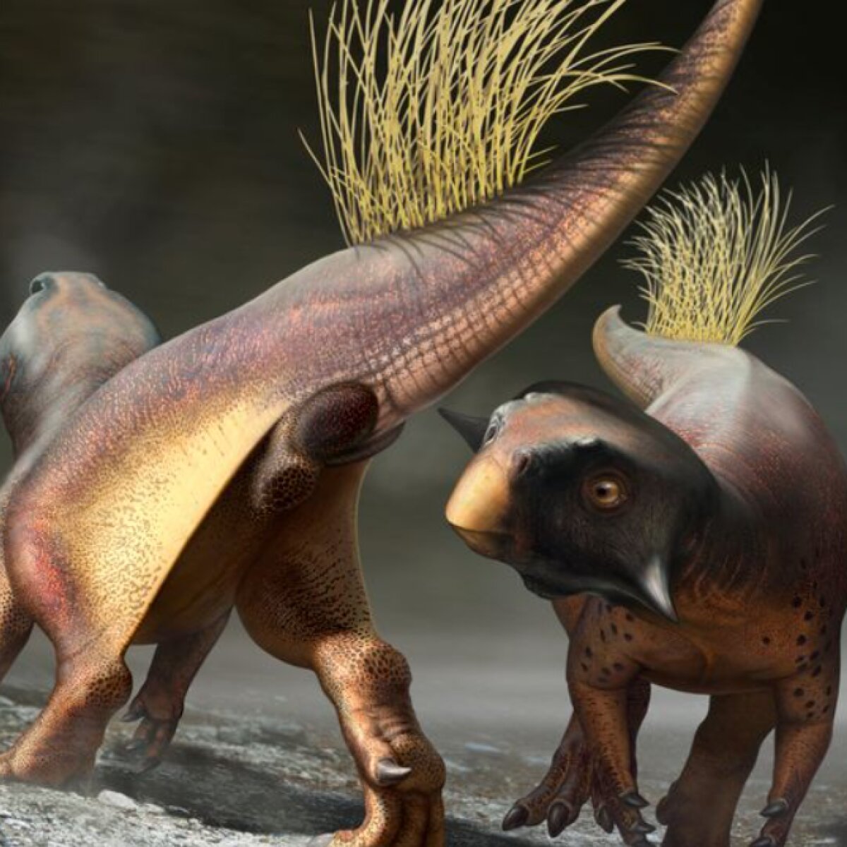 Ученые разгадали, в какой позе занимались сексом динозавры (ВИДЕО)
