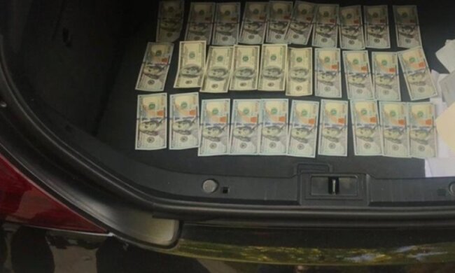 Кияни торгували "рибними" кріслами в Раді: "Ціна питання - 18 тисяч"