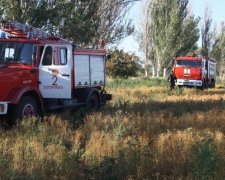 Південь України потерпає від пожеж