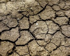 пустыня, иллюстративное фото из свободных источников