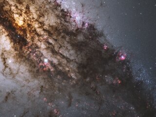 Гороскоп, фото: pixabay