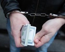 Скандального соратника Януковича схватили под Киевом