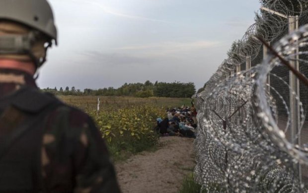 Россиян разворачивают на границе: стали известны цифры