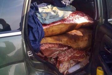 СБУ затримали три вантажівки, що везли продукти для бойовиків (фото)
