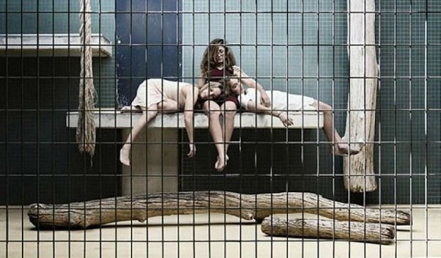 Фотограф помістив людей у клітки для тварин (фото)