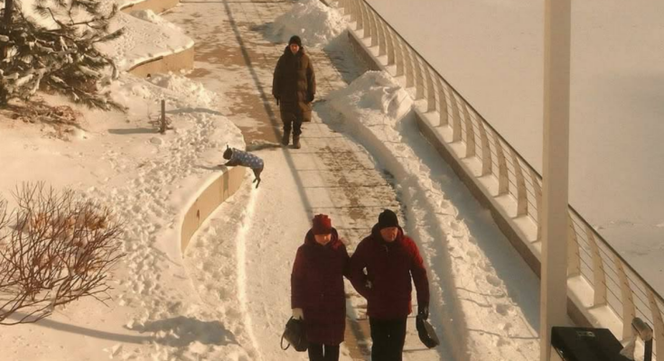 Украинцы, фото из соцсетей