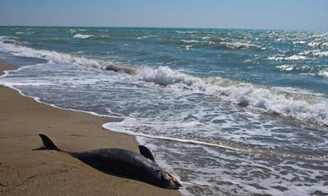 "Русский мір" поставив Крим на грань екологічної катастрофи