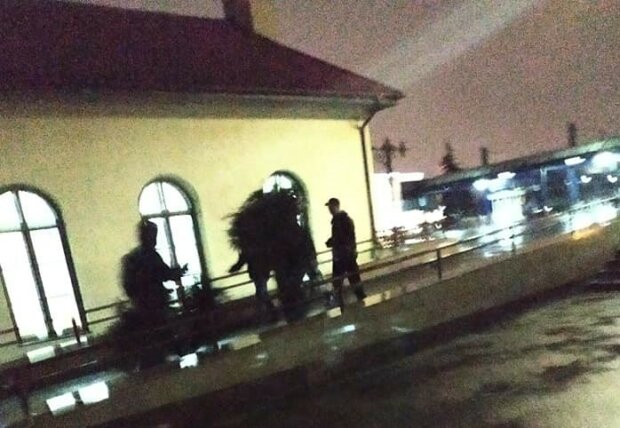 На Львівському вокзалі засікли банду ялинкових вбивць: "Руки засвербіли на Новий рік"