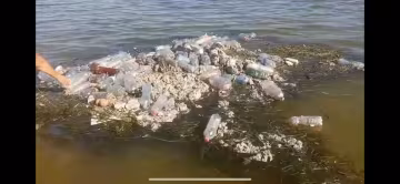 У Запоріжжі з'явився сміттєвий "айсберг" в морі - риби дохнуть, туристи крутять носом