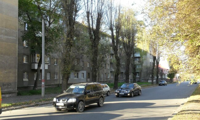 Озвірілий монстр взяв у полон львів'ян з собакою, 7 годин паніки і темряви: бррр, моторошно...