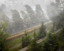 Стихія знищила десятки садів і виноградників