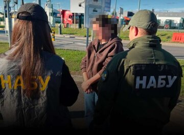 Екстрадиція фігурантки справи