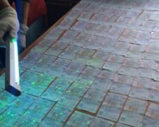 Двох рибінспекторів спіймали на хабарі у 50 тис. грн