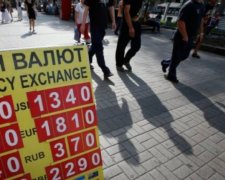 Курс валют на 24 травня: гривня взяла гору над євро