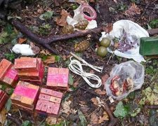 На Донеччині вибухівку сховали у дереві (фото)