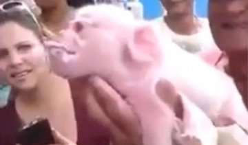 У рік Мавпи на Кубі народився дивний мутант (відео)