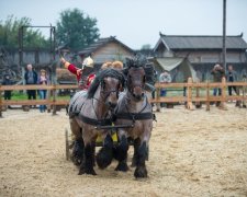 Шоу-выставка "Мир лошадей" 17-18 ноября