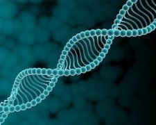 Вчені засумнівалися в одній з еволюційних гіпотез