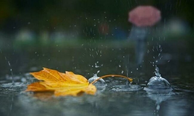  В Украину возвращается осень