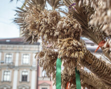 Стихія "перекриє кран" львів'янам: чим потішить прогноз на 11 січня