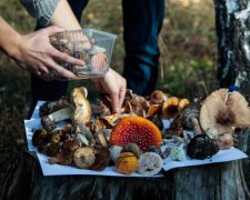 Хуже ботулизма: украинцы массово травятся популярным сезонным продуктом