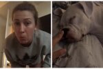 Саманта и собака Лейла, кадры из видео