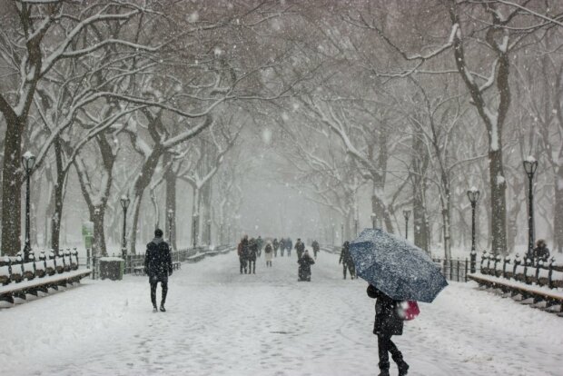 Все вкриє білою пеленою: зима не на жарт розгуляється в Харкові 5 січня