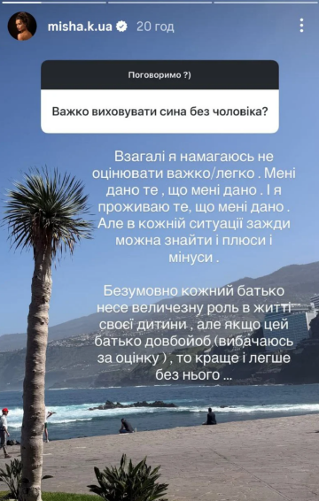 Сториз Ксении Мишиной