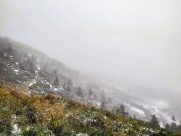 Сніг у Карпатах