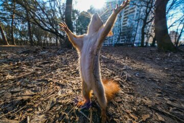 Прогноз погоди на 2 квітня, фото: Главком