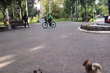 прогулянка в парку, скріншот з відео