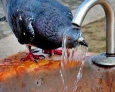 9 советов как защититься от жары
