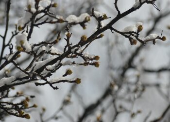 Погода в Україні, фото: pxhere