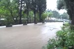 Кримське сміття через потоп несе в Чорне море: екологічна катастрофа в регіоні