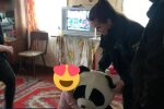 Копи стали для крихітної харків'янки справжніми чарівниками: "Це ведмідь!"
