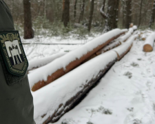 Госэкоинспекция