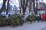 Дніпрянам дарують безкоштовні ялинки: як роздобути зелену красуню "на халяву"
