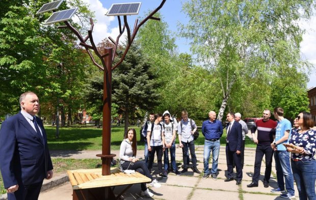 В Харькове появилось уникальное дерево: зарядку "в дупло" - и ты на связи