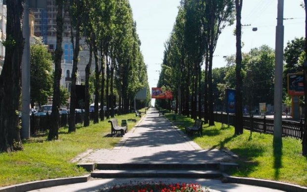 Культовому писателю установили мемориальную доску в Киеве