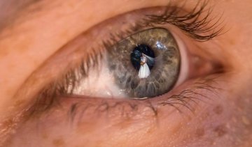 В очах твоїх: фотограф робить незвичні весільні фото
