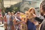 Успенський піст 2020: харчування по днях, скрін - YouTube