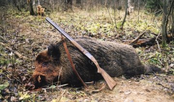 Держлісагентство назвало причини браконьєрства в Україні