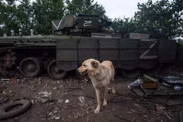 Оккупантская техника, фото: Facebook