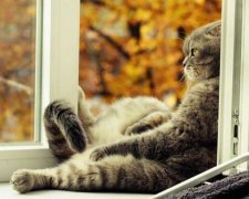 Праздничные дни осени: когда отдохнут украинцы