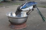 Металеві птахи і метелики з'явилися в Уельсі (фото)