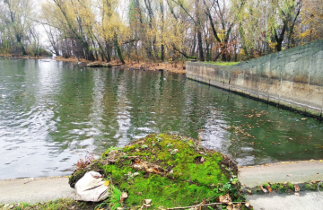 Річка Либідь / фото